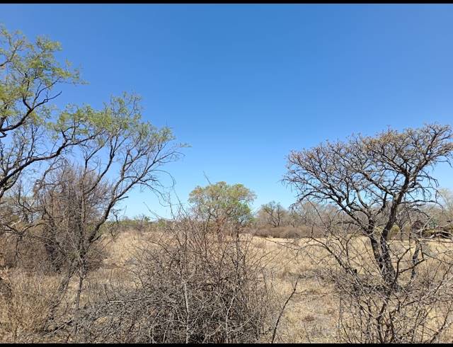 8.60HA SMALLHOLDING SOLD IN LUSTHOF